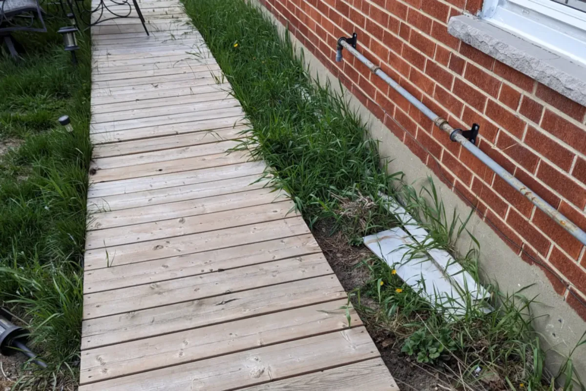 Weathered wooden boardwalk along the side of a brick house, overgrown with grass